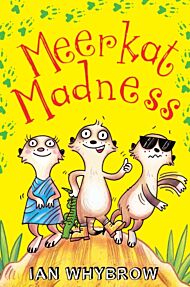 Meerkat Madness