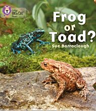 Frog or Toad?