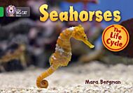 Seahorses