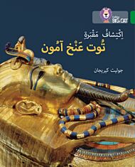 Discovering Tutankhamun¿s Tomb