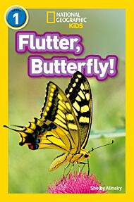 Flutter, Butterfly!