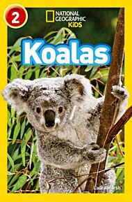 Koalas