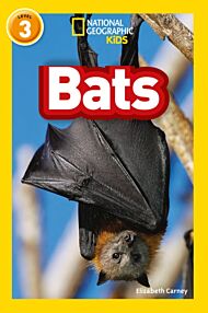 Bats