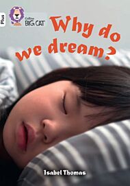 Why do we dream?