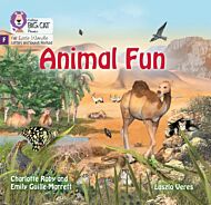 Animal Fun