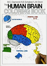 The Human Brain Coloring Book