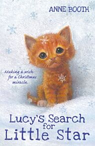 Lucy's Search for Little Star