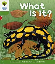 Oxford Reading Tree: Level 2: More Patterned Stories A: What Is It?