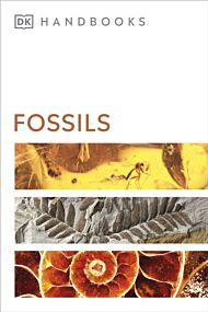 Fossils