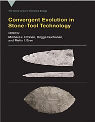 Convergent Evolution in Stone-Tool Technology