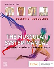 The Muscular System Manual