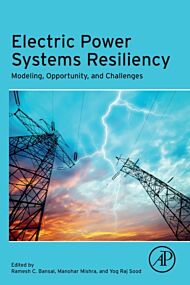 Electric Power Systems Resiliency