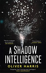 A Shadow Intelligence