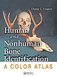 Human and Nonhuman Bone Identification