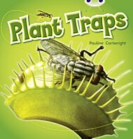 Bug Club NF Blue (KS1) B/1B Plant Traps