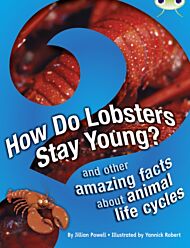 Bug Club Independent Non Fiction Year 3 Brown A How Do Lobsters Stay Young?