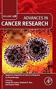 Epigenetic Regulation of Cancer in Response to Chemotherapy