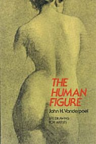 The Human Figure