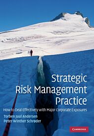 Strategic Risk Management Practice