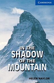 In the Shadow of the Mountain Level 5