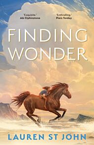 Finding Wonder