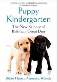 Puppy Kindergarten