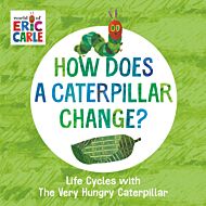 How Does a Caterpillar Change?