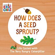 How Does a Seed Sprout?