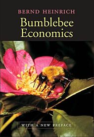 Bumblebee Economics