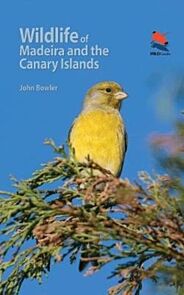 Wildlife of Madeira and the Canary Islands