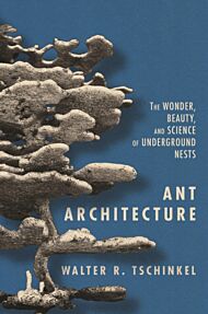 Ant Architecture