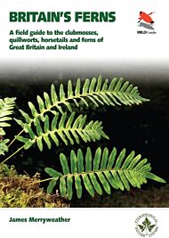 Britain's Ferns