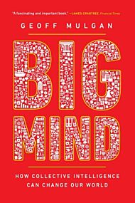 Big Mind