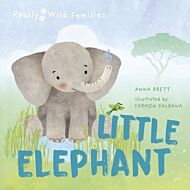 Little Elephant