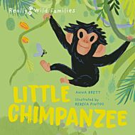 Little Chimpanzee