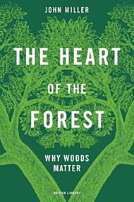 The Heart of the Forest