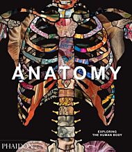 Anatomy