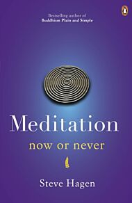 Meditation Now or Never