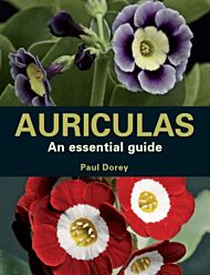 Auriculas