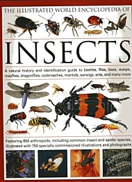 The Illustrated World Encyclopaedia of Insects