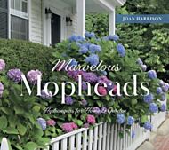 Marvelous Mopheads