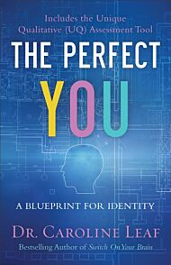 The Perfect You ¿ A Blueprint for Identity