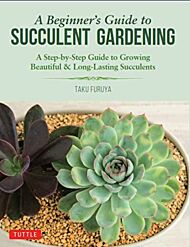 A Beginner's Guide to Succulent Gardening