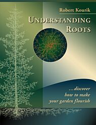 Understanding Roots