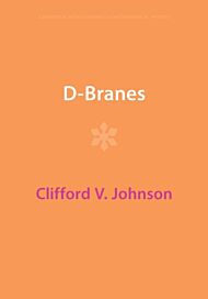 D-Branes