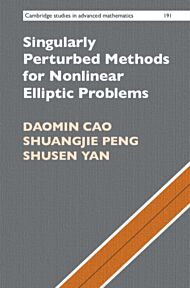 Singularly Perturbed Methods for Nonlinear Elliptic Problems