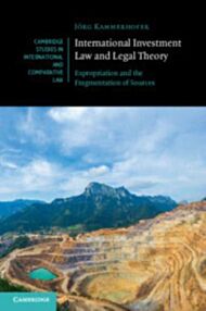 International Investment Law and Legal Theory