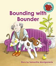 Bounding with Bounder