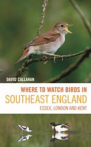 Where to Watch Birds in Southeast England