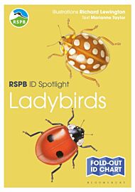 RSPB ID Spotlight - Ladybirds